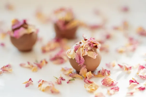 Casino Lotus Asia Android/iOS Forrit